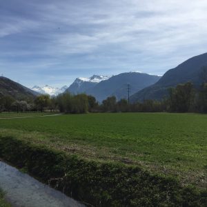 Frühlingserwachen Wallis