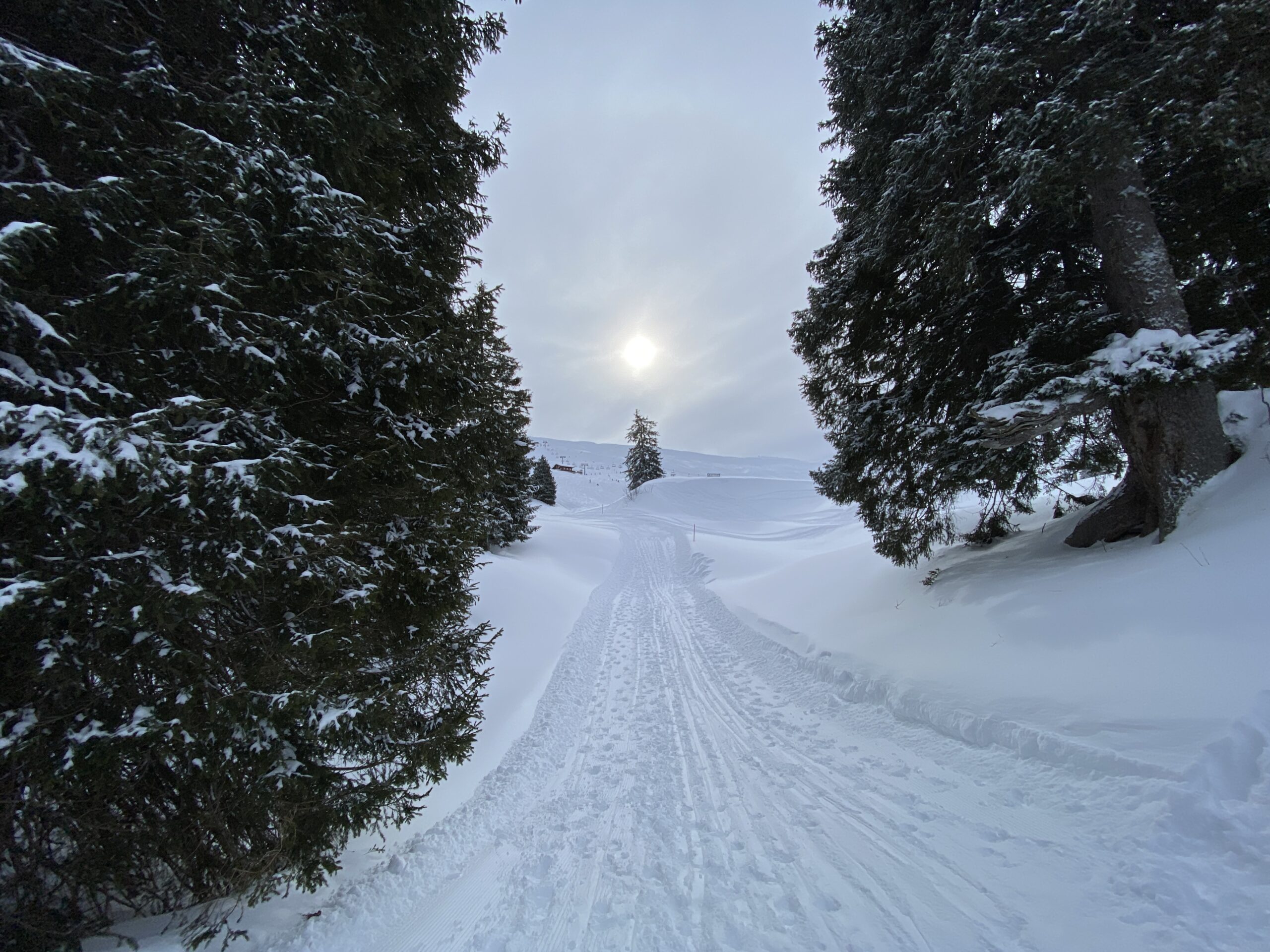 Winterwanderung Hoch-Ybrig