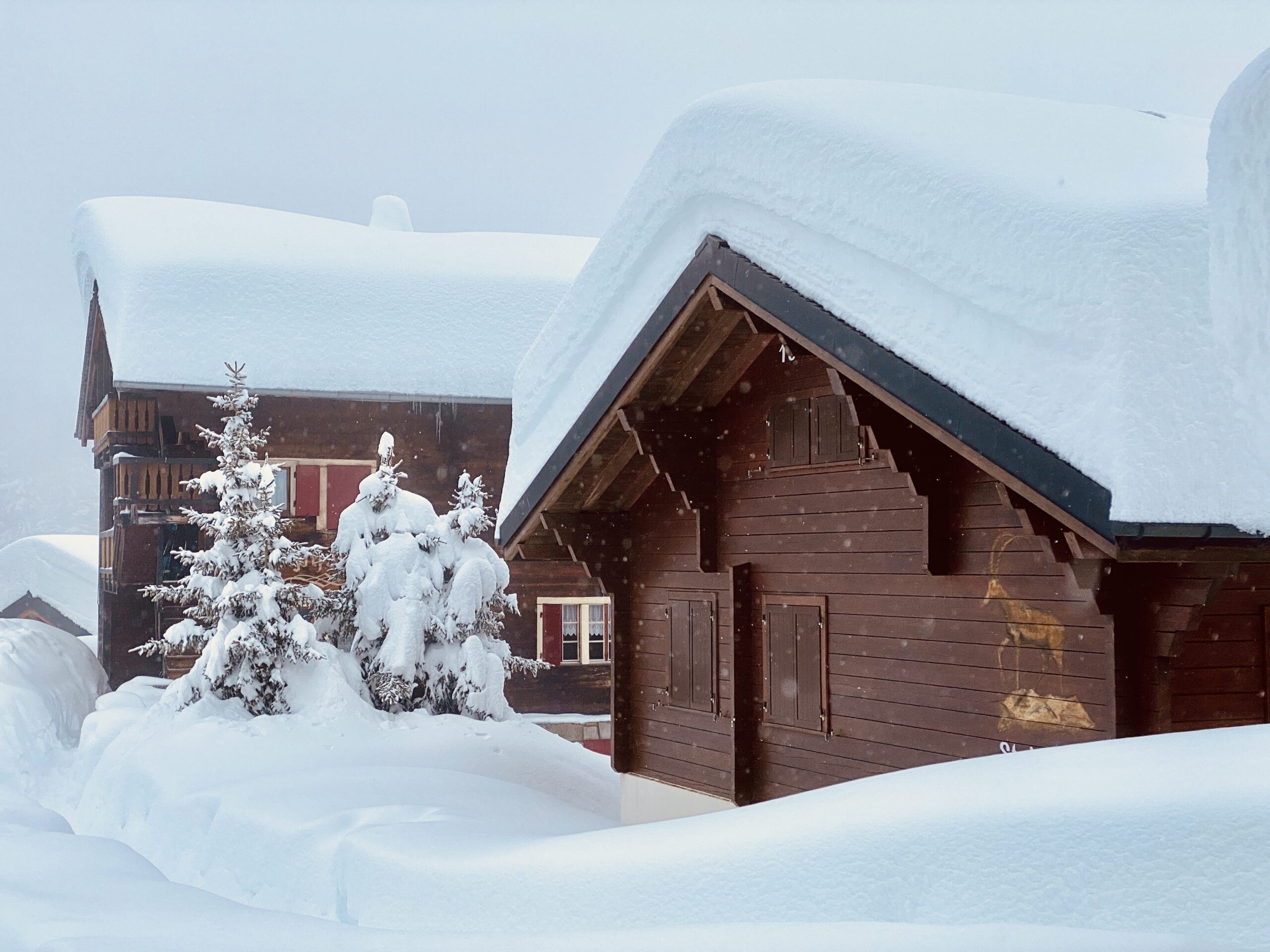 Bettmeralp Winter Hike