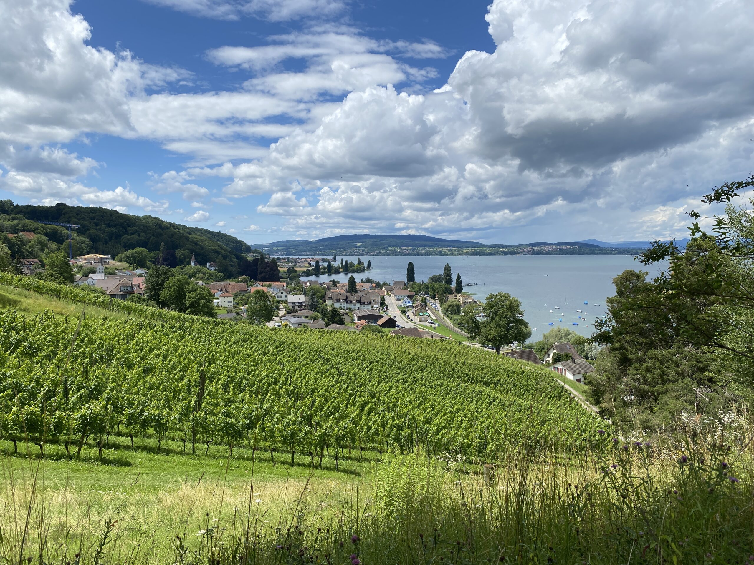 Velotour am Bodensee