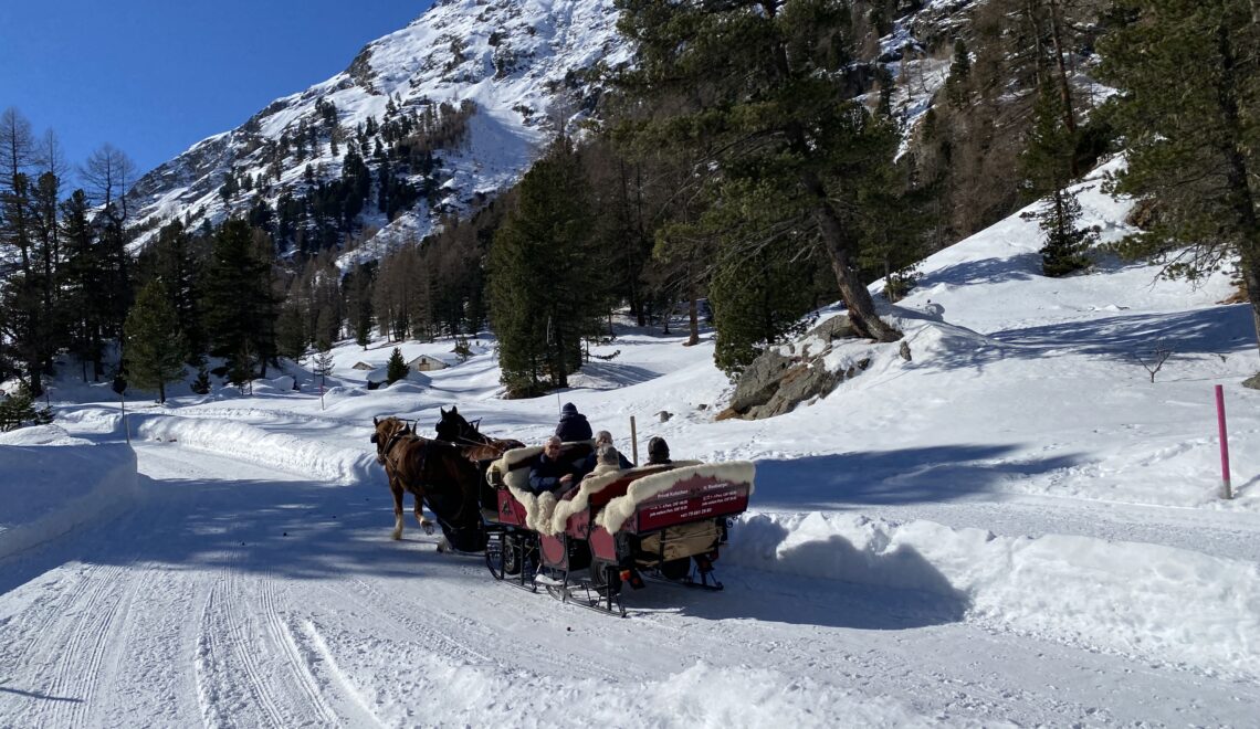 Horse carriage ride in Val Roseg