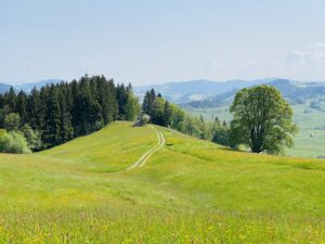 Panoramawanderung Einsiedeln nach Gottschalkenberg
