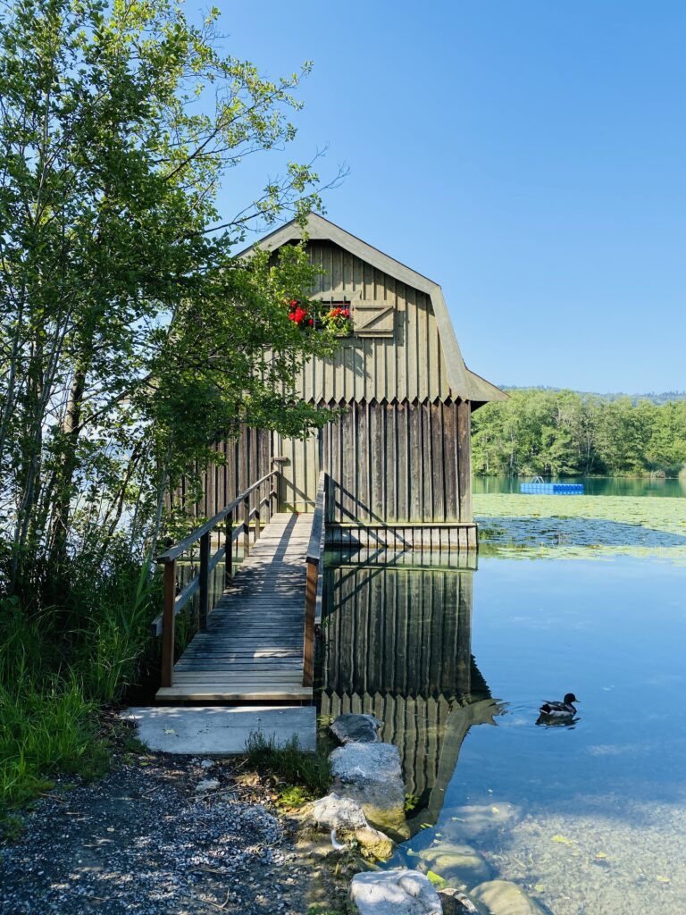 Round Trip Lake Hallwil