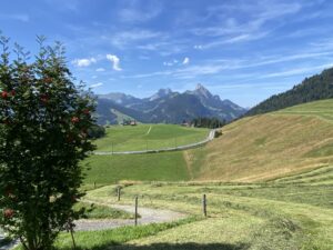 Panoramaweg Saanenmöser nach Gstaad
